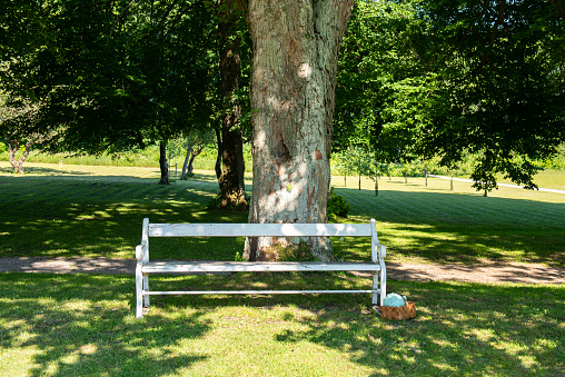 A old white wood bench, in the shade of a big tree. A small wooden basket with yarn, on the grass beside the bench. Sunny summer day