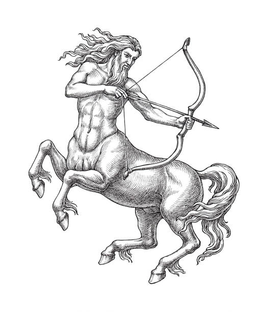 ilustrações, clipart, desenhos animados e ícones de sagitário, signo do zodíaco, desenho. - centauro ilustrações