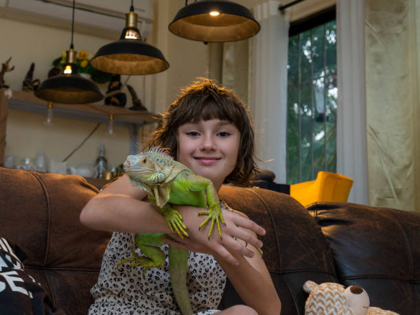 дикое животное в руках человека. девочка улыбается и держит в руках игуану - iguana reptile smiling human face стоковые фото и изображения