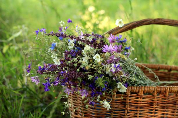 A summer bouquet in a basket