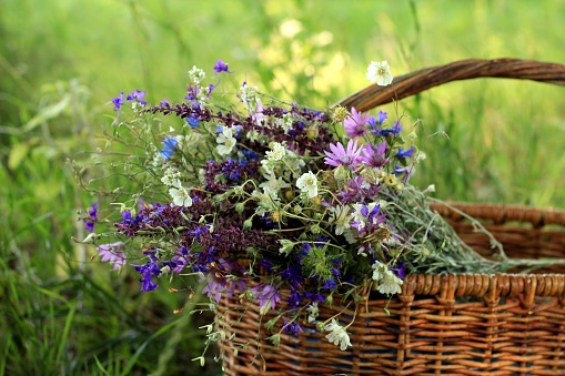 A summer bouquet in a basket