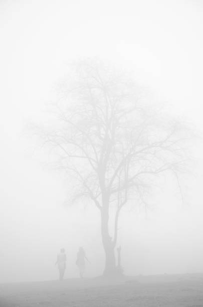 istock Foggy landscape, Panshet, Maharashtra, India. 1987530752