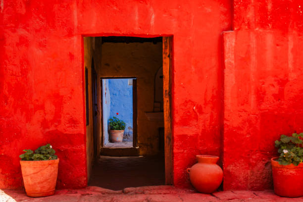 istock 2023 8 15 Peru geraniums and pots 1 1987553217