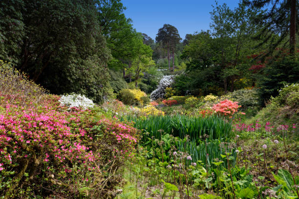 An English Garden in springtime