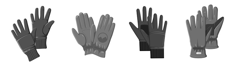 Set of glove and equipment vector icon