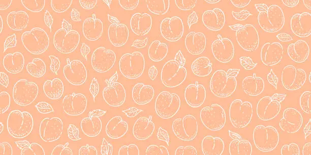 Vector illustration of Peach color pattern. Fuzz 2024 year trendy palette seamless background. Peach fuzz spring summer fashion pattern with abstract fruit. Seamless 2024 colour japanese style art for interior textile cloth