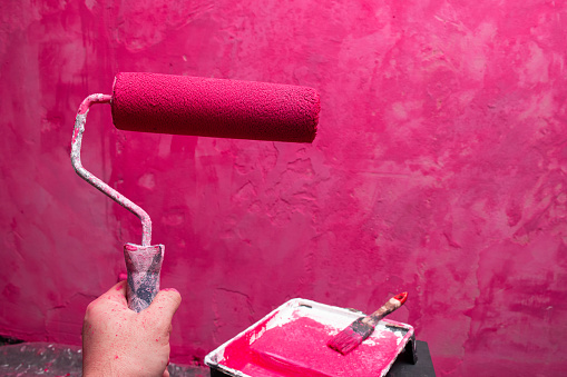 Paint roller in hand. Equipment ready for renovation: tools to be used for painting a wall at home with pink or fuchsia paint