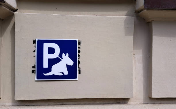 Krasnoyarsk, Russia - 28 May, 2023: blue plate of designated dog parking sign area on gray wall. Place for bind dogs waiting for owners near shop.