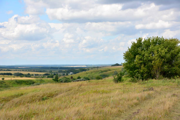 istock landscape with hills, green tree and cloudy sky copy space 1987599057