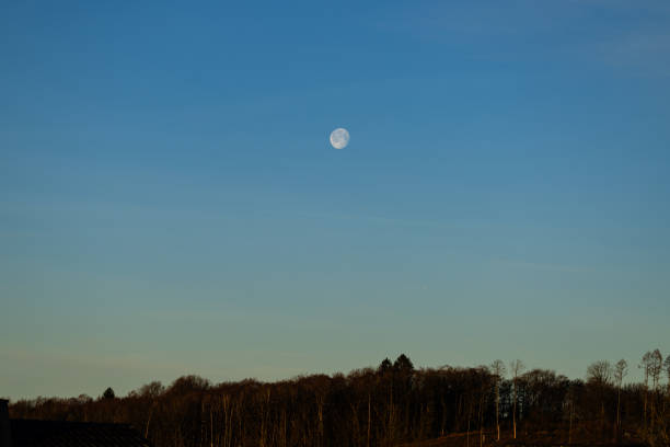 Die aufgehende Morgensonne verabschiedet den Vollmond. Der Wald glänzt bereits im ersten Sonnenlicht.