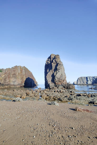 una tranquilla spiaggia rocciosa con grandi e imponenti formazioni rocciose che si estendono nelle calme acque dell'oceano sotto un cielo azzurro - beauty in nature cloud rocky coastline rock foto e immagini stock