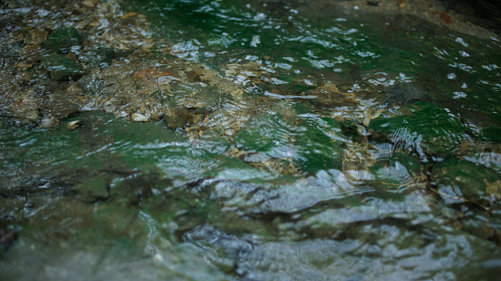 A small creek with beautiful waterfalls runs along a lush forest floor. Moss and vibrant green plants and trees grow around the river bank. A long exposure makes the water soft and white as it falls around the moss covered boulders.