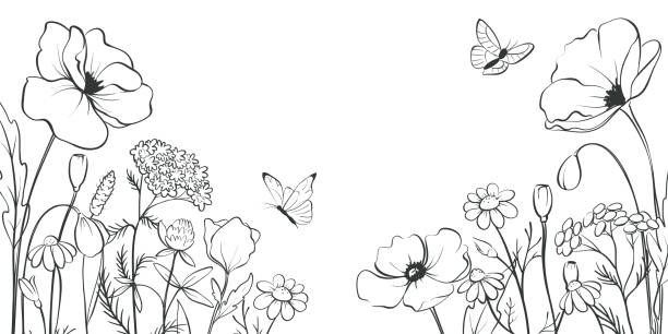 Poppies and other wild flowers. – artystyczna grafika wektorowa