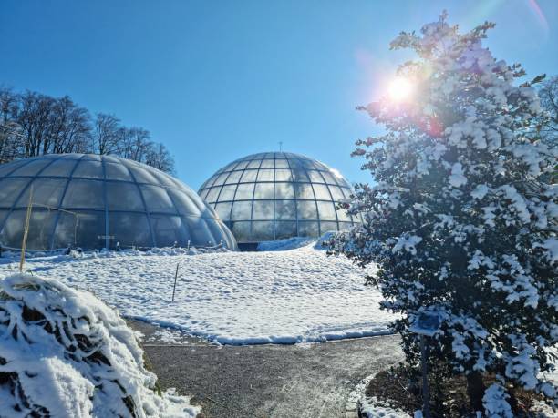 Botanical Garden of the University of Zurich with the glasshouses, captured during winter season.