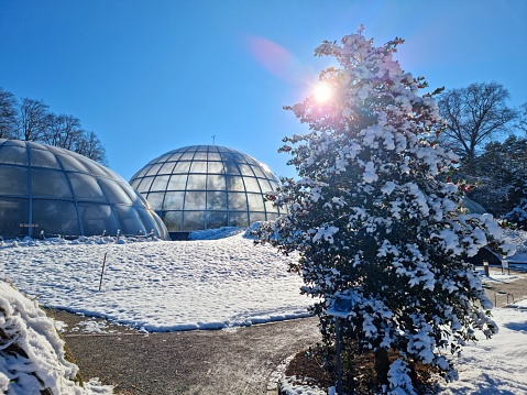 Botanical Garden of the University of Zurich with the glasshouses, captured during winter season.