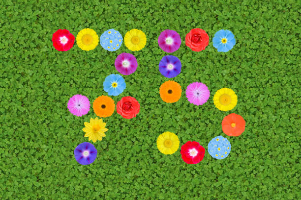 the number 75, written with different colored flowers