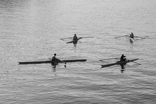 Four male rowers sculling on lake in sunshine.