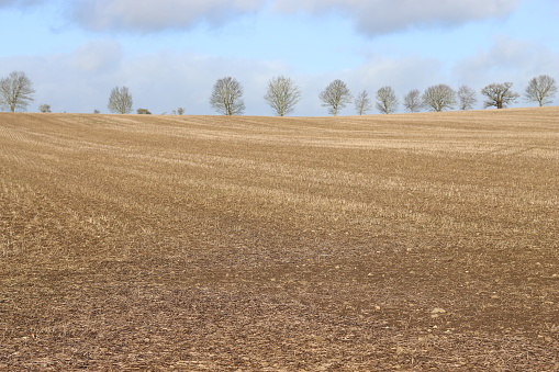 View across field stubble in winter sunshine