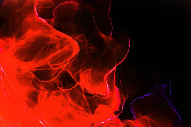 istock High-quality abstract paintings give designers a modern art background. 1987648604