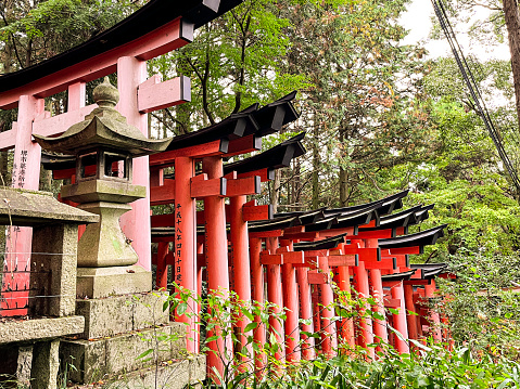 A sacred place of Fushimi Inari Shrine in Kyoto. It’s called a shrine of a thousand gates. This spiritual place is located in one of the most beautiful cities in Japan on the mountain. Good place for hiking. Lush green foliage surrounds the shrine gates.