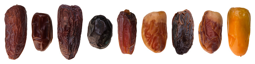 Types of dates, varieties of dates isolated on a white background. Different types on sizing and species of date palms.