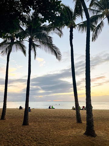 Astonishing palm trees on the Waikiki beach in Honolulu on Oahu island, Hawaii. It’s sunset and the sky is of a nice and clear colour. The ocean is at the horizon. Unrecognisable people are relaxing in a hammock.