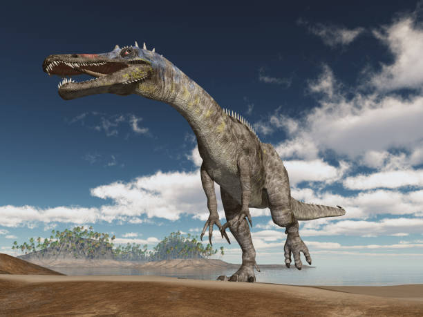 istock Dinosaur Suchomimus at the beach 1987736301