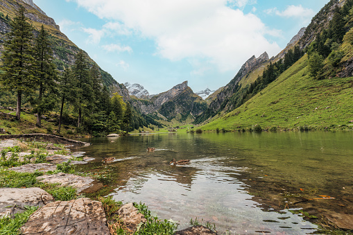 Beautiful view of Seealpsee mountain valley and lake in Alpstein mountain range on summer at Appenzell, Switzerland