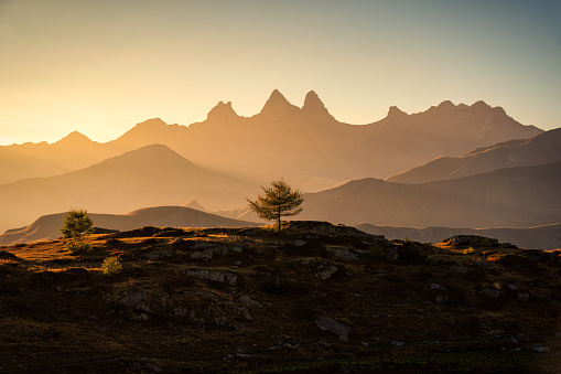 Picturesque landscape of golden sunrise over Arves massif with lonely tree on Lac Guichard at French Alps, France