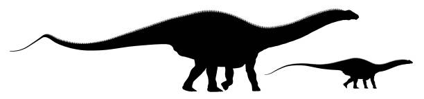 istock Silhouette with the dinosaur Apatosaurus 1987738995