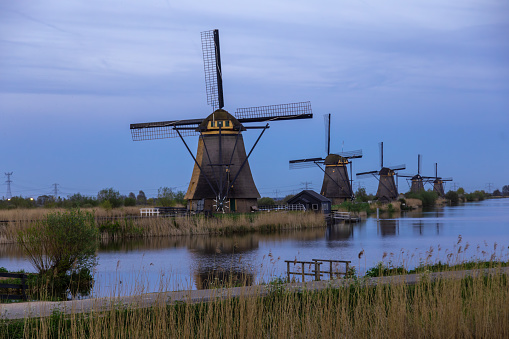 The famous group of Traditional Dutch wind mills at sunrise in frost and fog in the foreground is grass and on the other side of the canal, located in Kinderdijk, the Holland.