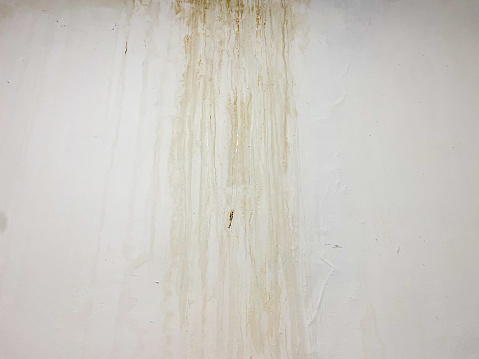 Water seepage stains on the walls and ceiling of the house due to leaks from the roof. Weathered wall paint of the house is starting to peel off because of the dampness in the room.