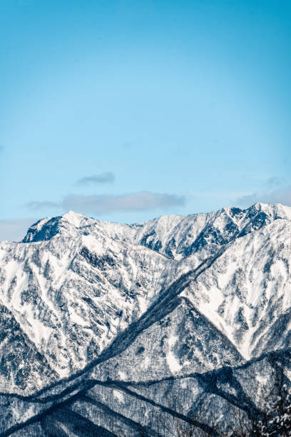 Forest in winter, Hakuba, Japan