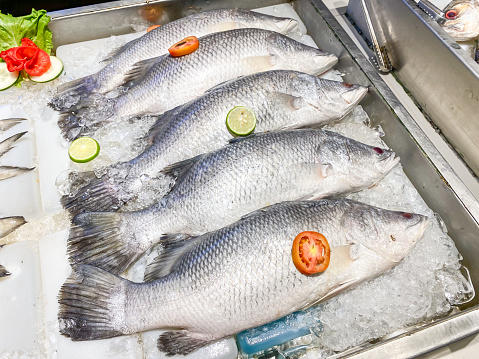 Fresh frozen barramundi fish with ice sold at a modern fish market. Fish caught by fishermen. Concept for whole healthy food, nutrition, omega-3, animal protein, seafood.