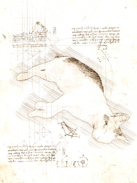 istock Sketch in da Vinci style of sleeping cat 1987788737