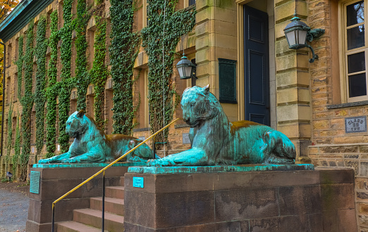 Princeton, NJ USA - November 12, 2019:  The twin tiger statues at the entrance of Nassau Hall on the campus of Princeton University in Princeton, New Jersey