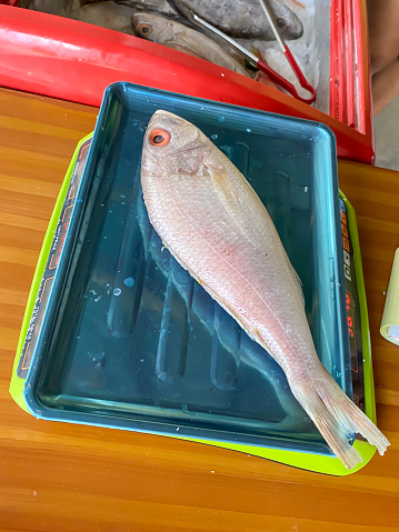 The seller is weighing the fish using a digital scale at a modern fish market. Fish caught by fishermen. Concept for whole healthy food, nutrition, omega-3, animal protein, seafood.