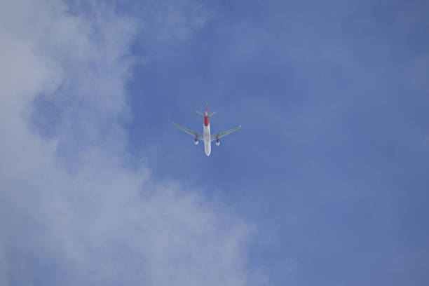 jet plane flying at high altitude, near a sheet of thin clouds under a blue sky - POA, SAO PAULO,  BRAZIL.