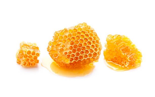 istock Pieces of honeycomb honey 1987829253