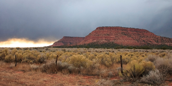 Multicolored and yellow rock formations with semi-desert vegetation, Desert plants. The Sonoran Desert of southwest Arizona, sandstone formations, USA Arizona