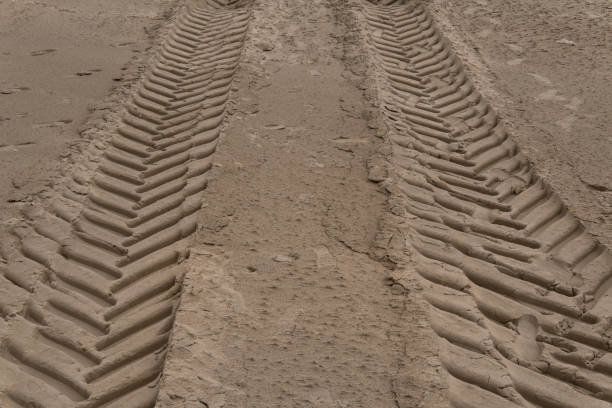 Dry soil displays finely detailed tire tracks illuminated by warm evening sunlight. The intricate patterns left by heavy-duty vehicle tires contribute to an industrial yet serene countryside aesthetic.