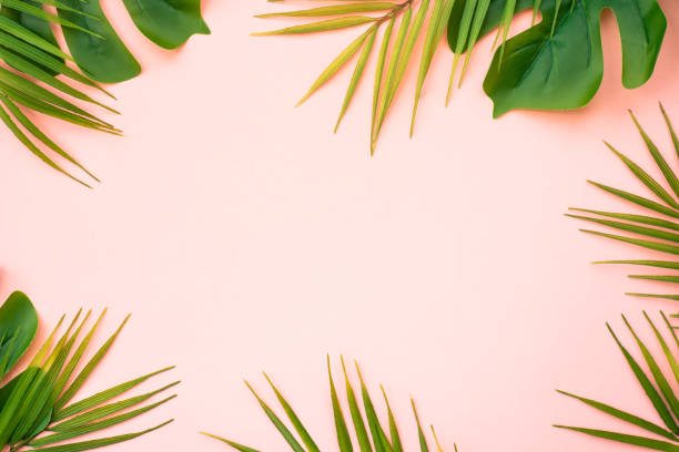 istock Summer flat lay background tropacal leaves on white. 1987864960