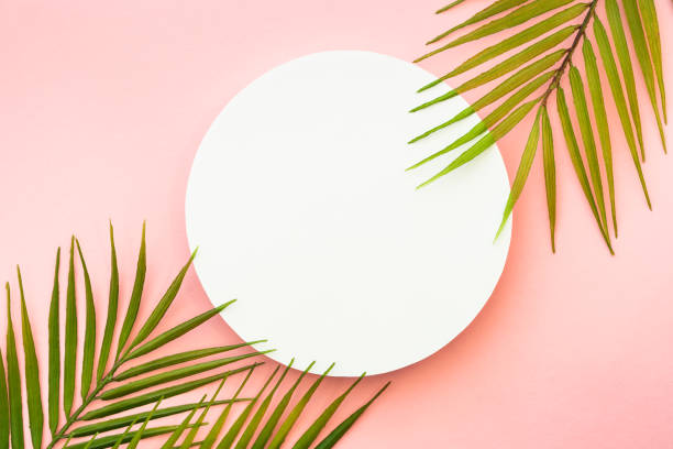 istock Palm leaves and white podium on pink background. 1987865481
