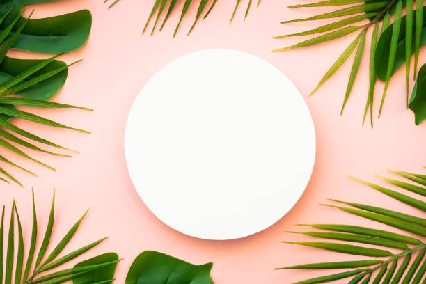 istock Summer flat lay background tropical leaves on white. 1987865492
