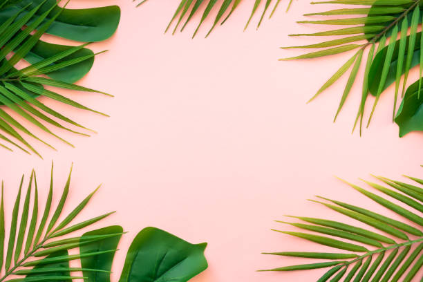 istock Summer flat lay background tropical leaves on white. 1987865495