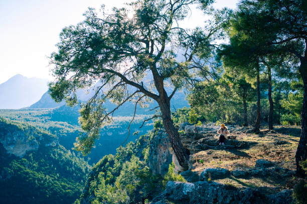 A young woman sitting under an old pine tree on the edge of a cliff.