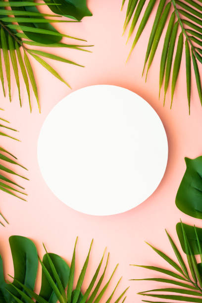 Summer flat lay background tropical leaves on white.