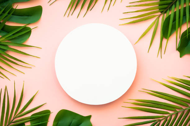 istock Summer flat lay background tropical leaves on white. 1987875472