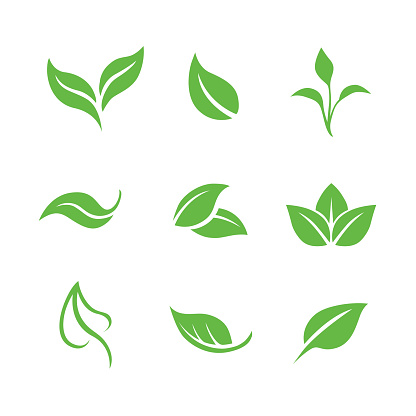 Vector collection of freen leaves icon - natural, healthy, eco, organic or bio symbol on white background