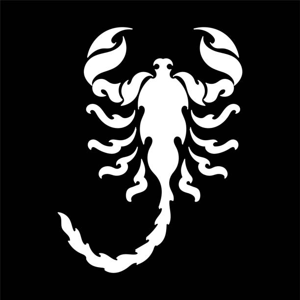 istock Tribal Scorpio Zodiac for Tattoo Illustration Design Vector 1987895140